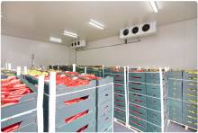 Nos prestations sur le secteur de Nantes et en Loire-Atlantique 44